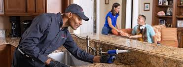 Best Termite Inspection and Treatment  in Woodbine, GA